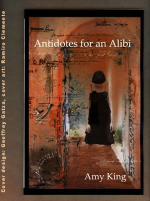 Antidotes for an Alibi